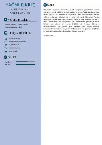 Okul Öncesi Öğretmeni Öğretmenliği Cv Örnekleri cv indir